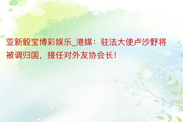 亚新骰宝博彩娱乐_港媒:驻法大使卢沙野将被调归国,接任对外友协会长!