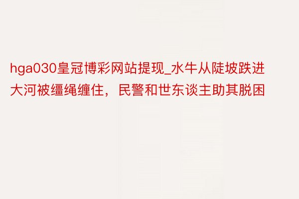 hga030皇冠博彩网站提现_水牛从陡坡跌进大河被缰绳缠住,民警和世东谈主助其脱困