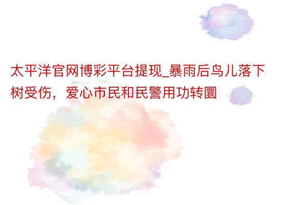 太平洋官网博彩平台提现_暴雨后鸟儿落下树受伤,爱心市民和民警用功转圜